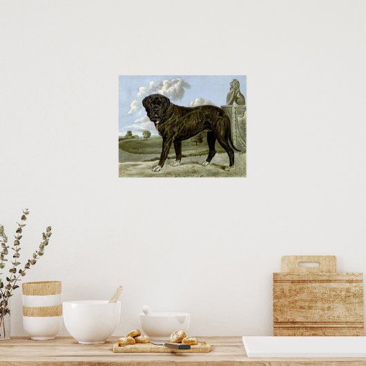 Zwart Engels Mastiff-Poster Poster (Keuken)