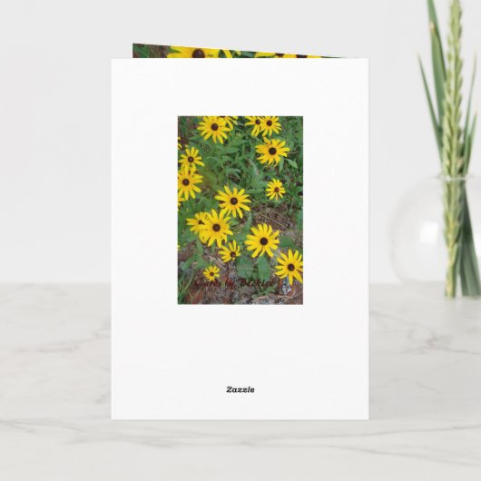 Zwart-Eyed Susan Card Kaart (Achterkant)