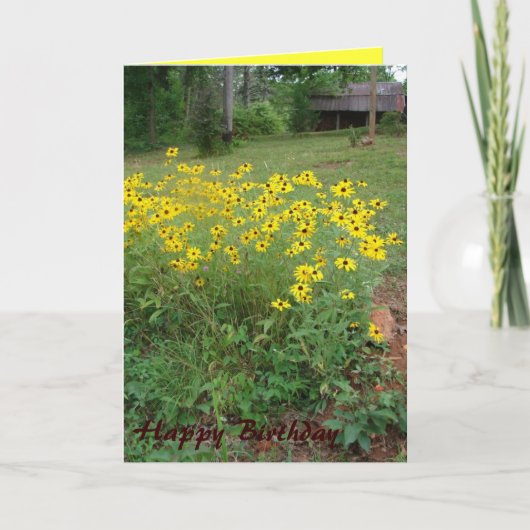 Zwart-Eyed Susan Card Kaart (Voorkant)