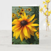 Zwart-Eyed Susan Flower Garden Kaart (Gele Bloem)