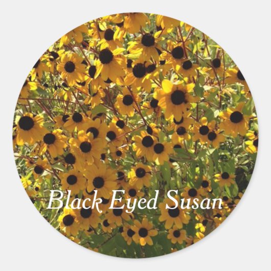 Zwart Eyed Susan Flowers Foto Jouw tekst Stickers (Voorkant)