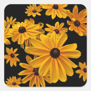 Zwart Eyed Susan Flowers Gele Bloemen Bloemen Bloe Vierkante Sticker