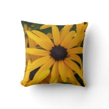 Zwart-eyed Susan Foto Gele Tuin Sierkussen