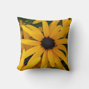 Zwart-eyed Susan Foto Gele Tuin Sierkussen