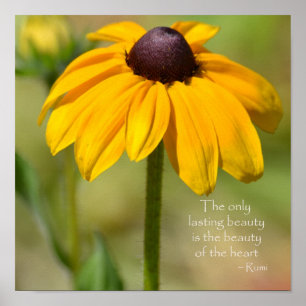 Zwart Eyed Susan Geel Bloem Rumi citaat Poster