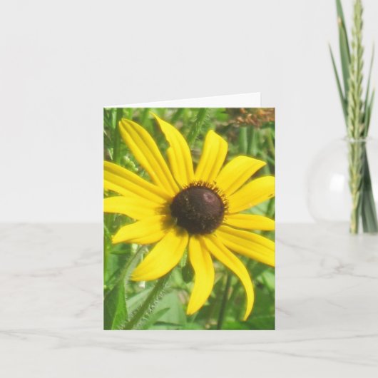 Zwart-eyed Susan Note Card Kaart (Voorkant)