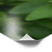 Zwart Eyed Susan Zittend Foto Afdruk (Hoek)