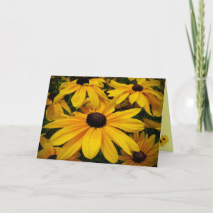 Zwart-eyed Vriendschap Susans Kaart