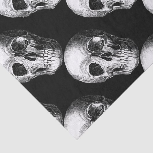 Zwart fijn papier met schouderwand (Detail)