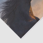 Zwart friesisch paard bij zonlicht tissuepapier (Detail)