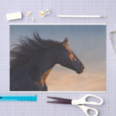Zwart friesisch paard bij zonlicht tissuepapier (Craft)
