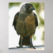 Zwart gebogen rij op een Balustrade-kunst Poster (Voorkant)