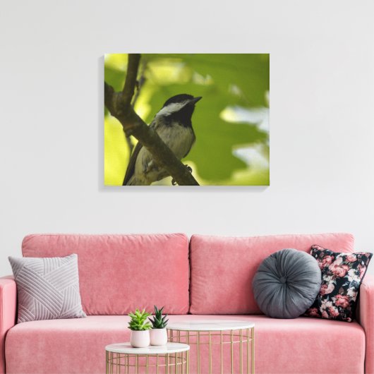 ZWART-GEDOOPT CHICKADEE CANVAS PRINT (Insitu (Woonkamer))