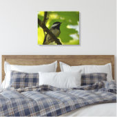 ZWART-GEDOOPT CHICKADEE CANVAS PRINT (Insitu (Slaapkamer))
