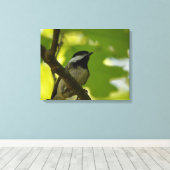 ZWART-GEDOOPT CHICKADEE CANVAS PRINT (Insitu (Houten vloer))