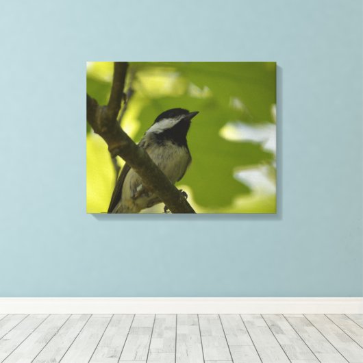 ZWART-GEDOOPT CHICKADEE CANVAS PRINT (Insitu (Houten vloer))
