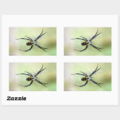 Zwart & Geel Argiope Tuin Spin Sticker (Vel)