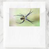 Zwart & Geel Argiope Tuin Spin Sticker (Tas)