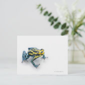 Zwart, geel en blauw gifdekkikker briefkaart (Staand voorkant)