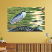 Zwart gekroond Night Heron Portret Canvas Afdruk (Insitu (Woonkamer))