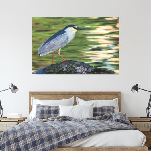 Zwart gekroond Night Heron Portret Canvas Afdruk (Insitu (Slaapkamer))