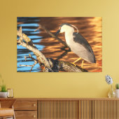 Zwart gekroonde Night Heron Perches op Branch Canvas Afdruk (Insitu (Woonkamer))