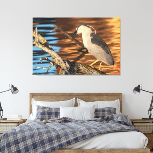Zwart gekroonde Night Heron Perches op Branch Canvas Afdruk (Insitu (Slaapkamer))