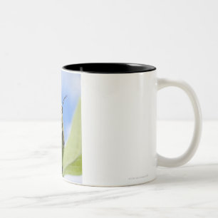 Zwart-gele caterstijl tweekleurige koffiemok