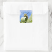Zwart-gele caterstijl vierkante sticker (Tas)