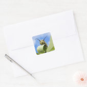Zwart-gele caterstijl vierkante sticker (Envelop)