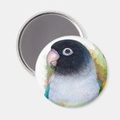 Zwart gemaskerde lovebird magneet (Voorkant / Achterkant)