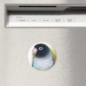 Zwart gemaskerde lovebird magneet (Insitu (Vaatwasser))