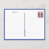 Zwart Gezellige Kat Slapen op Bed Briefkaart (Achterkant)