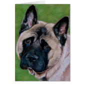 Zwart Gezicht Akita Hond gezegde Sorry (Voorkant)