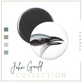 Zwart-gezicht koekoekjesachtige magneet