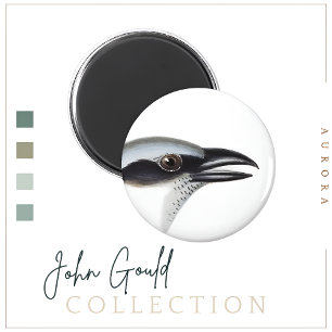 Zwart-gezicht koekoekjesachtige magneet