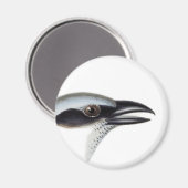 Zwart-gezicht koekoekjesachtige magneet (Voorkant / Achterkant)