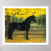 Zwart goud - afdrukken poster (Voorkant)