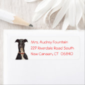 Zwart Greyhound Puppy Hond Rood Retouradres Etiket (Insitu)