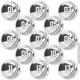 zwart grijze basketbalteamkleuren 13 atleten sticker