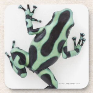 Zwart-groen giftige kunstkikker 2 bier onderzetter