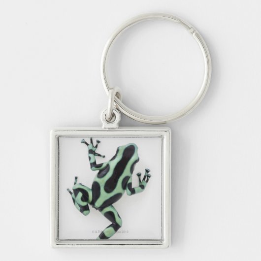 Zwart-groen giftige kunstkikker 2 sleutelhanger (Voorkant)