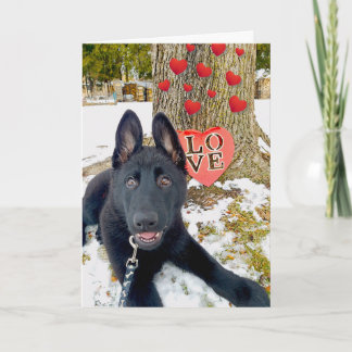 Zwart GSD Puppy met Hearts & Love Valentijn Kaart