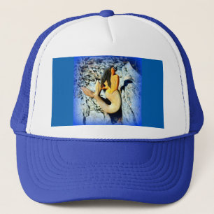 zwart-haired meerminblauw trucker pet