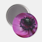 Zwart hart Anemone Round Magnet (Voorkant / Achterkant)