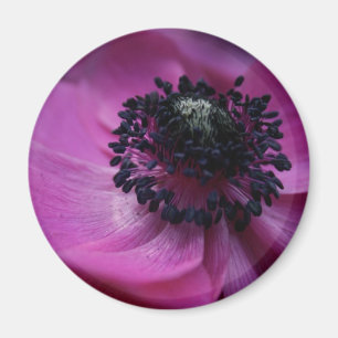 Zwart hart Anemone Round Magnet
