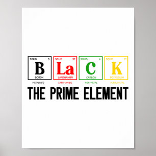 Zwart Het Primaire Element Zwarte Geschiedenis Maa Poster