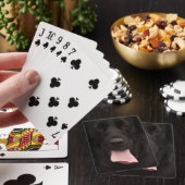 Zwart honden gezicht pokerkaarten (Insitu)