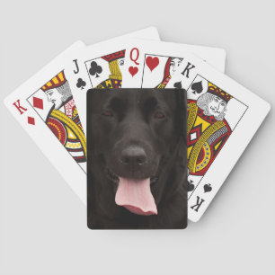 Zwart honden gezicht pokerkaarten