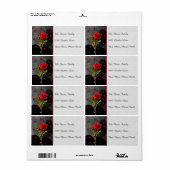 Zwart hoogtepunt met rode roze etiket (Full Sheet)